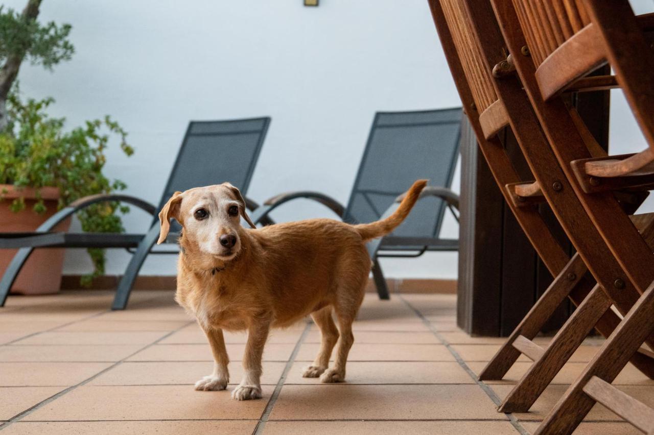 カンブリルス "Charm & Cozy 4Br - 3Ba With Pool & Barbecue"ヴィラ エクステリア 写真