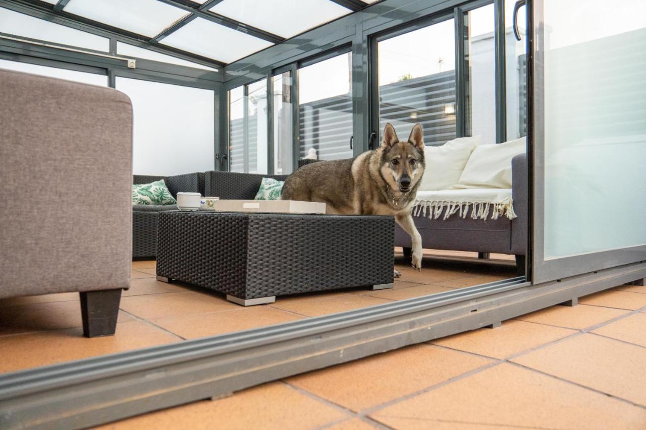 カンブリルス "Charm & Cozy 4Br - 3Ba With Pool & Barbecue"ヴィラ エクステリア 写真